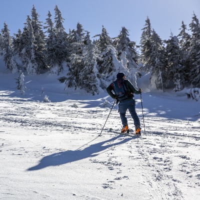 lower austria skier 400.jpeg