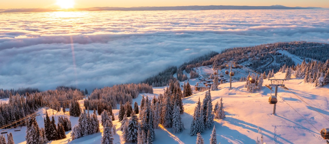 silver star 1140.jpg