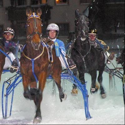 trotting kirchbery 400.jpg